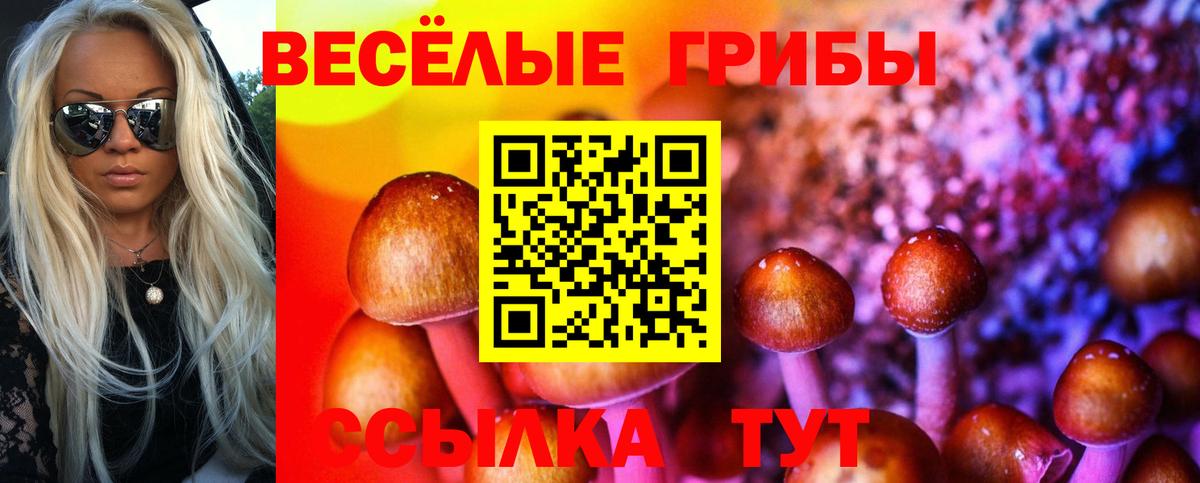 Псилоцибиновые грибы Psilocybe Красный Сулин
